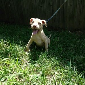 Meet your Posher, Jae